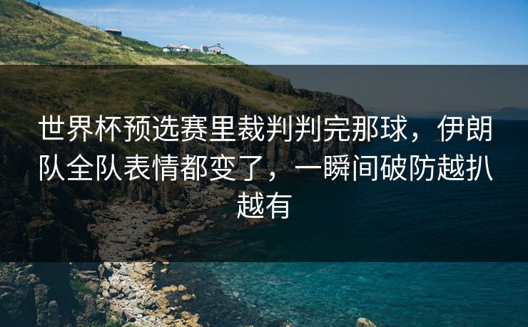 世界杯预选赛里裁判判完那球，伊朗队全队表情都变了，一瞬间破防越扒越有  第1张
