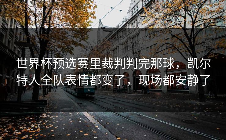 世界杯预选赛里裁判判完那球，凯尔特人全队表情都变了，现场都安静了